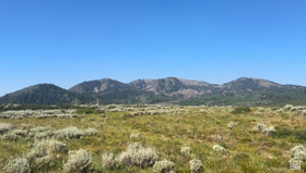5465 N Lone Hill Dr MLS #2174481