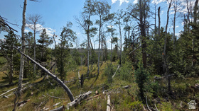 5085  Alpine Rd MLS #2174511