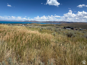 3038 S Bunch Grass Dr MLS #2174581