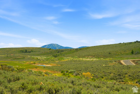 5739  Hawks Meadow Ln MLS #2174930