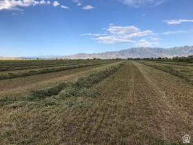 10000 W 10400 N MLS #2176047
