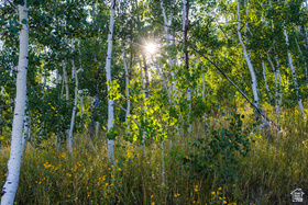 2070 S Uintah View Dr MLS #2176434