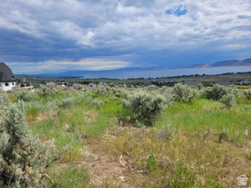 441 W Starflower Way MLS #2176523