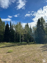 2595 N Hwy 192 MLS #2176854