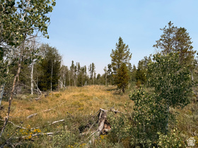 4913  Pinecrest Rd MLS #2177275