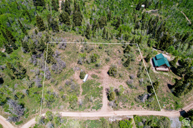 1172 W Maple Pl MLS #2178047