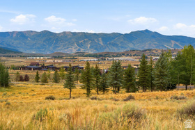 6725  Cody Trl MLS #2178835