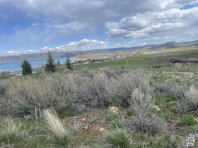 244 W Lychee Ln MLS #2179685
