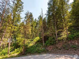 125  Evergreen Cir MLS #2180284