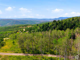 3044 S Forest Meadow Rd MLS #2181110