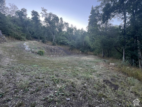 2412  Twist Dr MLS #2181804