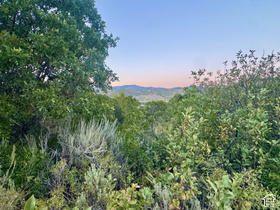 4343  Upper Aspen Loop MLS #2185567