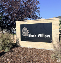 24 E Black Willow Dr MLS #2187156