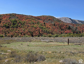 13075 E Pine Canyon Rd MLS #2188230