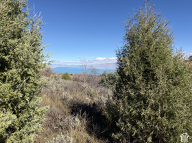 1361  Sculpin Loop MLS #2192590