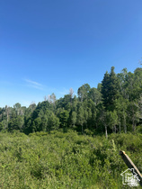 Address Not Available MLS #2192926