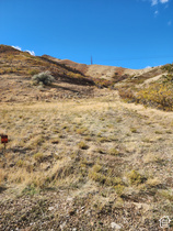 Settlement Canyon Rd MLS #2193035