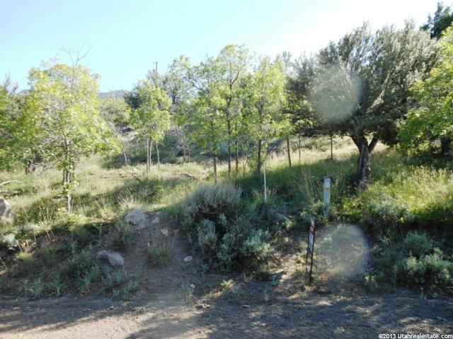 #3, Pine Valley, UT 84781 — photo 3