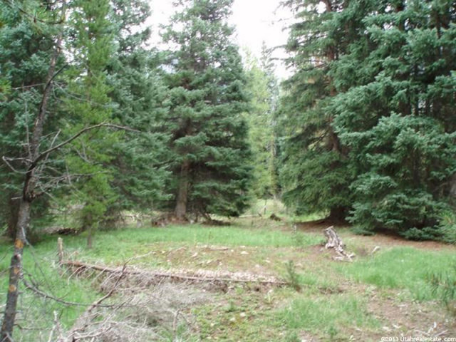 1003 Iroquois, Oakley, UT 84055 — photo 7