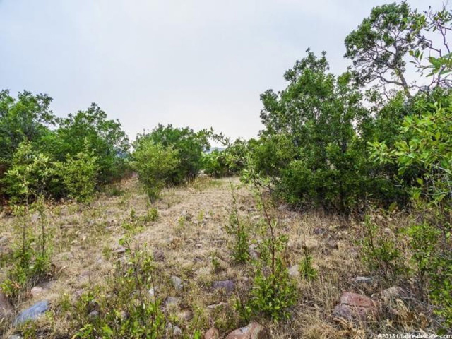 3922 N 4650 E #42, Eden, UT 84310 — photo 6