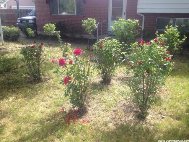 528 S 300 W, Logan, UT 84321 — photo 9