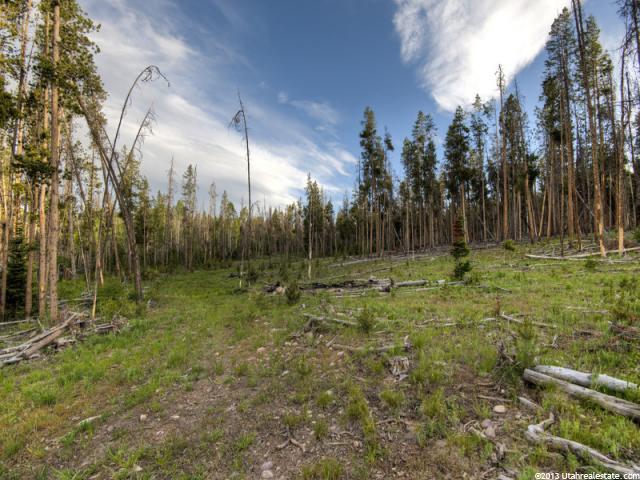 1171 Hayden #5, Kamas, UT 84036 — photo 2
