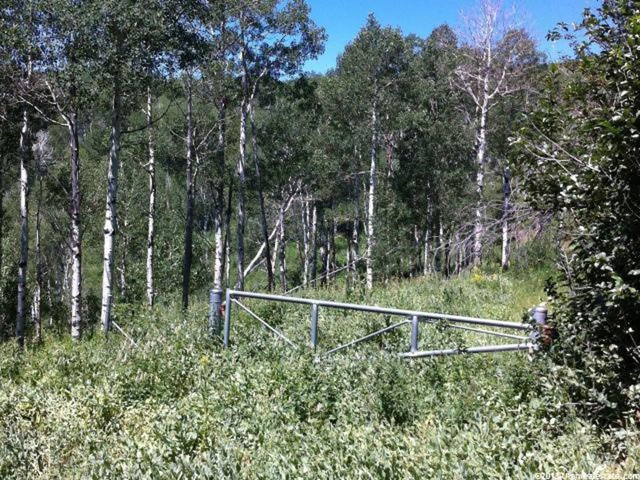 9 Aspen Rdg #9, Wanship, UT 84017 — photo 2