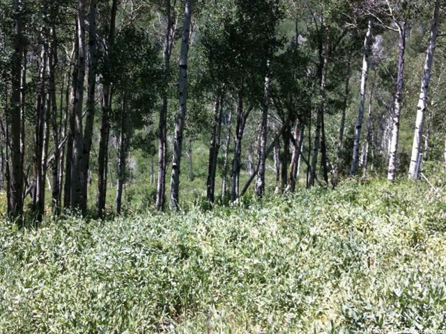 9 Aspen Rdg #9, Wanship, UT 84017 — photo 4