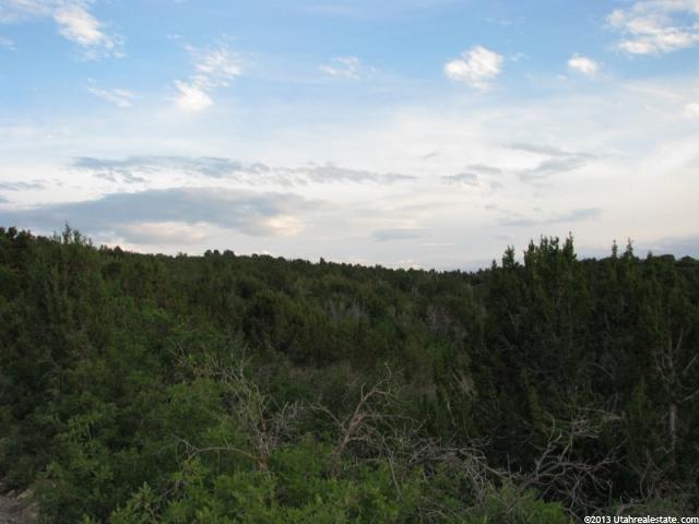 4 Cedar Draw #4, Fairview, UT 84629 — photo 9