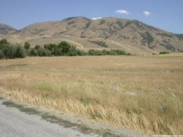 1300 E Canyon Rd #C, Avon, UT 84328 — photo 4
