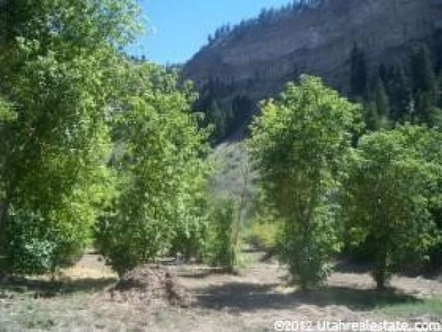 #3, Fruitland, UT 84027 — photo 2