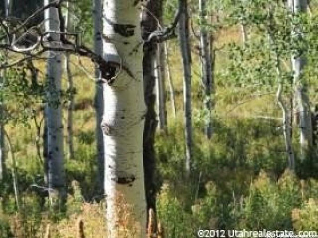 2041 Pine Loop Rd #41, Wanship, UT 84017 — photo 2