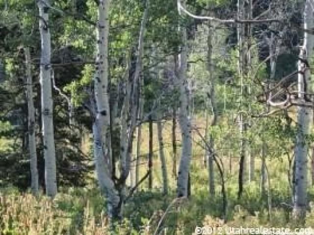 2041 Pine Loop Rd #41, Wanship, UT 84017 — photo 3