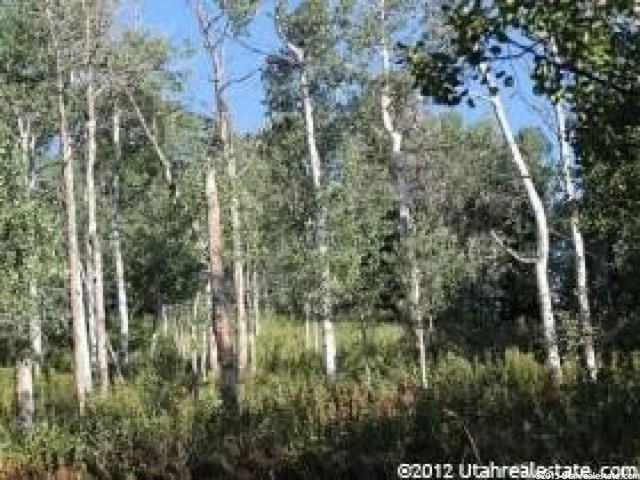 2041 Pine Loop Rd #41, Wanship, UT 84017 — photo 4