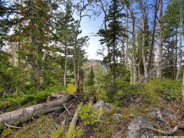 11 Ruby Hollow Dr #8, Deer Valley, UT 84060 — photo 4