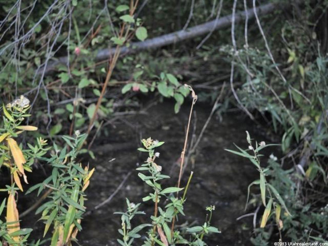 #8, Malad City, ID 83252 — photo 10