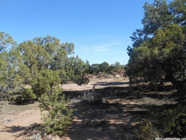 #1, Talmage, UT 84073 — photo 5
