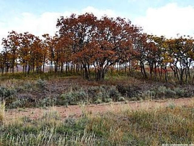 1009 E Longview Dr #24, Hideout, UT 84036 — photo 10