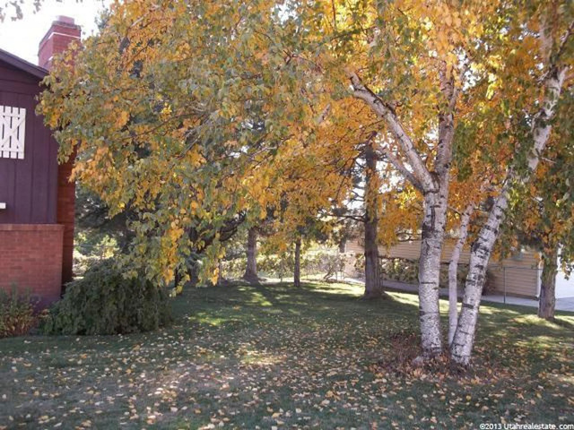 439 E 3100 N, North Ogden, UT 84414 — photo 10