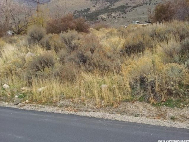 246 S 300 E, Willard, UT 84340 — photo 3