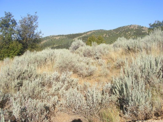 #18, Preston, ID 83263 — photo 6