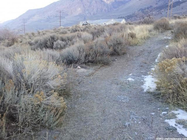 323 S 300 E #2, Willard, UT 84340 — photo 5