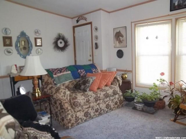 165 E 340 N, Mona, UT 84645 — photo 3