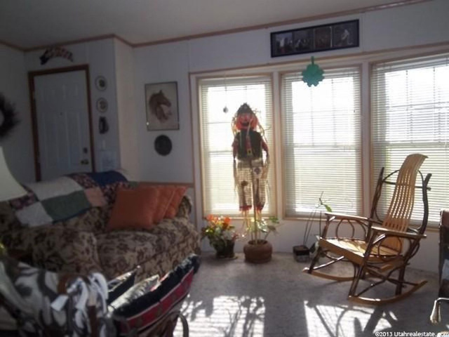 165 E 340 N, Mona, UT 84645 — photo 4