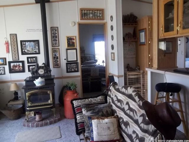 165 E 340 N, Mona, UT 84645 — photo 10