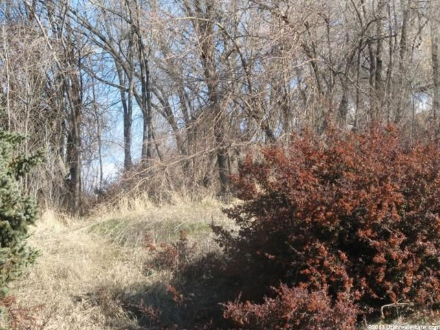 678 E 3200 S, Ogden, UT 84401 — photo 3