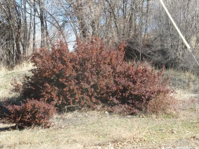 678 E 3200 S, Ogden, UT 84401 — photo 4