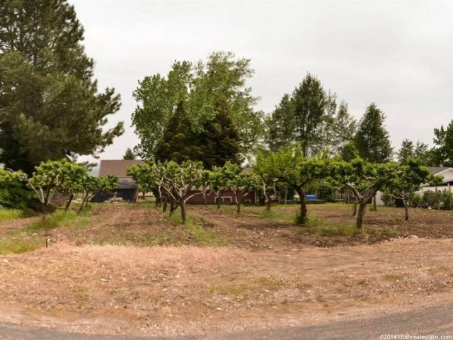 765 E 3000 N #2, North Ogden, UT 84414 — photo 10