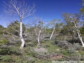 218 Pine Dr, Kamas, UT 84036 — photo 2