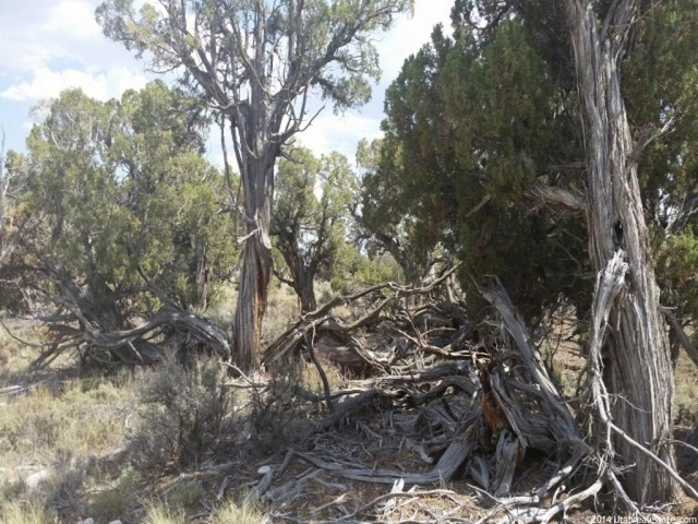 #18A, Fruitland, UT 84027 — photo 4